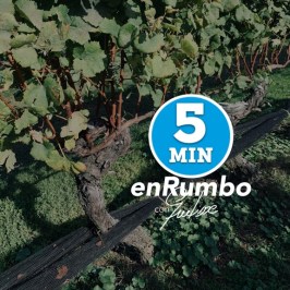 IVELISSE_PODCAST 2 2